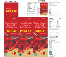 PARA-XT - Suspension
